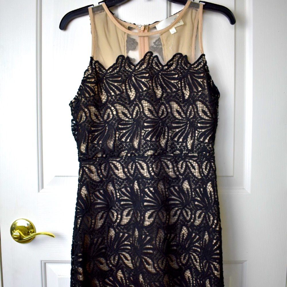 J.O.A Size Medium Sexy Illusion Dress